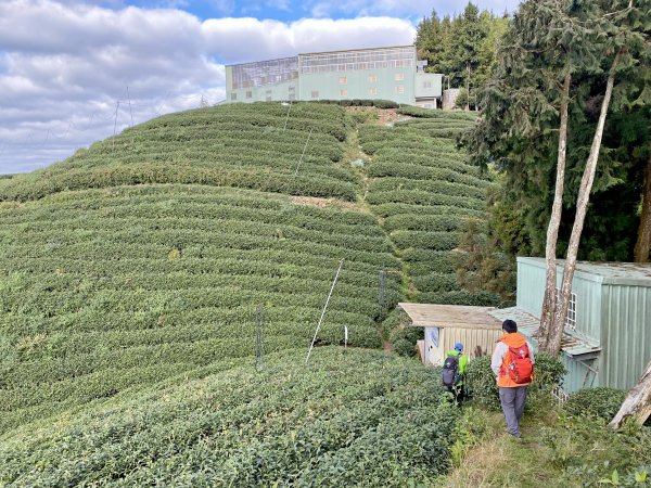 龍鳳、龍鳳峽、三叉崙、內樹皮、水桶寮、羊頭崙、志騰、竹崙、溪頭山九連峰縱走  2022/1/11570342