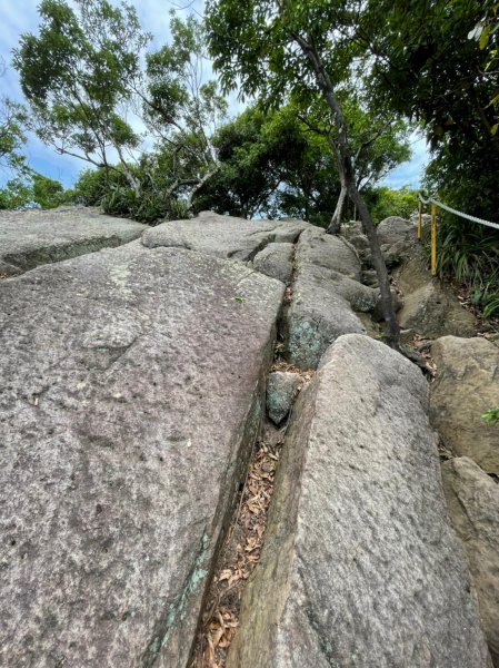 內湖金面山親山步道 202208131808279