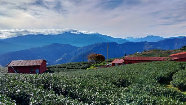 【南東眼山】埔里六秀2020/12/191212235