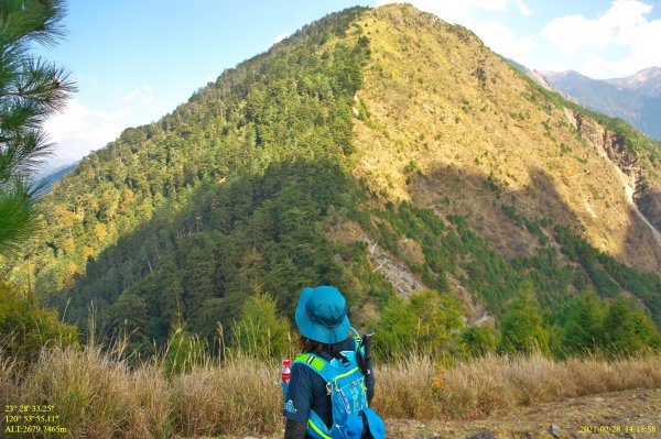 玉山前峰連走麟趾山1294496