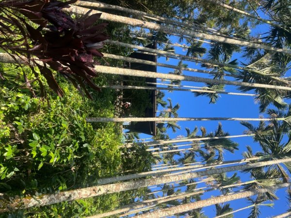 雲嘉五連峰2735898