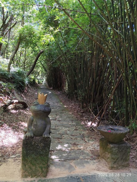 翠山步道、大崙頭尾山親山步道【臺北健走趣】2874331