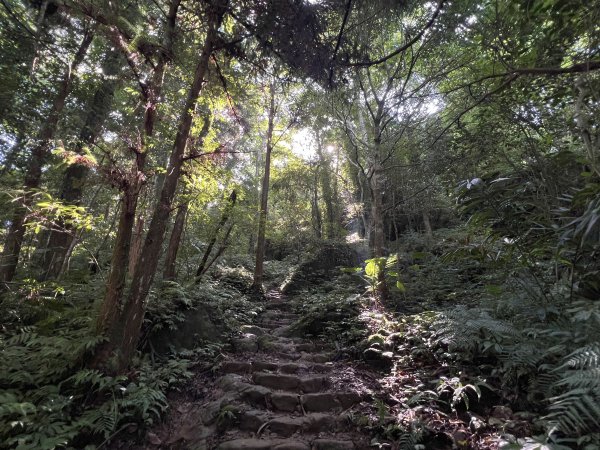 探 齊天大聖受難之五指山1806488