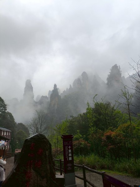 【海外健行】三千奇峰，八百秀水 - 張家界3037569