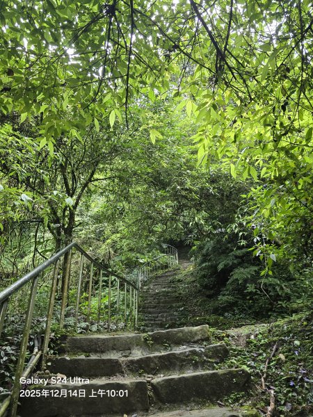 2025-12-14微笑山線：【二格山系】銀河洞越嶺段2962126