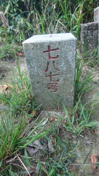 五指山古道O走-友蚋山-新山夢湖178447