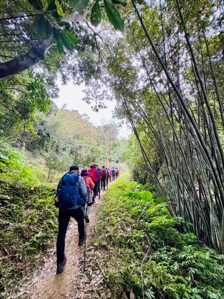 鳴鳳山古道群走鳴鳳山 三湖山吃仙草冰2923270