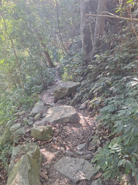 谷關蝴蝶谷瀑布202511202940799