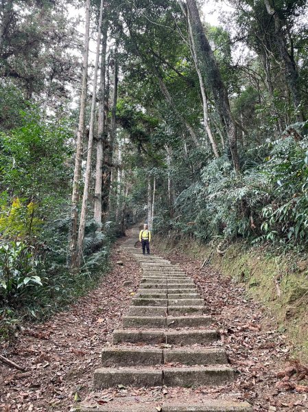 【忠の水社大山】~遠眺日月潭與群山-202302052063595