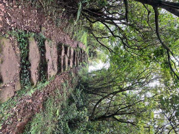 臺北大縱走第三段 小油坑》風櫃嘴2478288