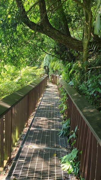 2025-0130溪和宮-大崎頭步道-鵝尾山-平溪步道-鵝尾山水田-42巷-溪山百年古圳-平菁步道2701970