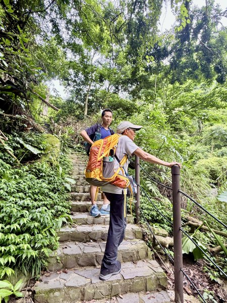 獨立山奉天岩健行趣（雲霧山林間的悠閒時光）   2026.7.303096383