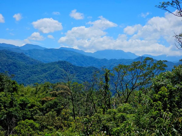 (天上山系)望月亭桐花-2025微笑山線大縱走尋寶集章任務2870349