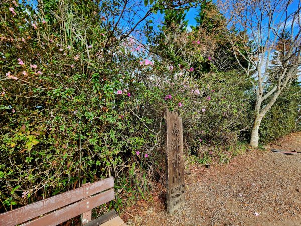 小百岳集起來-馬那邦山2181273