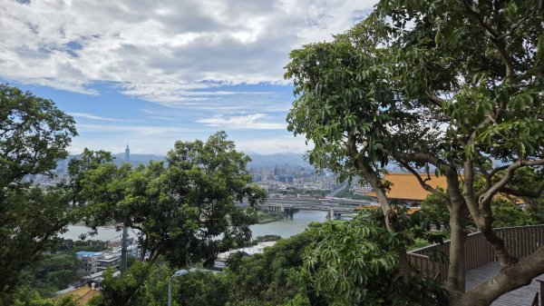 20260725 劍潭山親山步道3090589