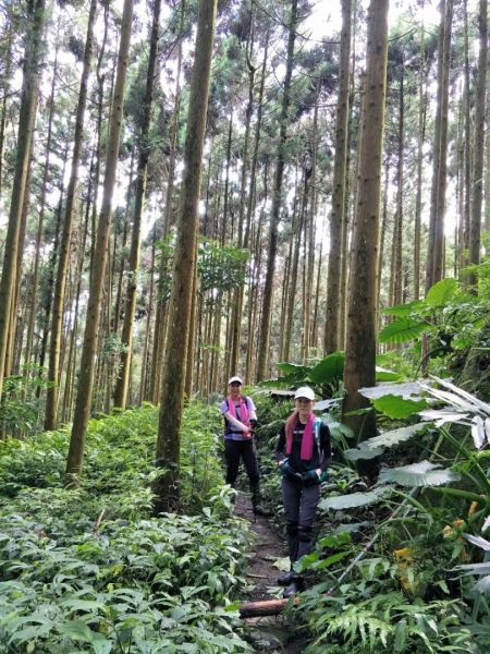 光天高山、向天湖山、三角湖山O型縱走359715