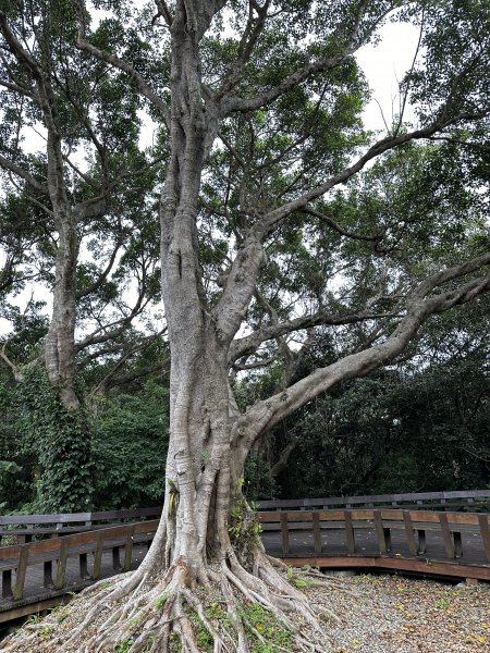 醉翁之意不在酒的【五酒桶山步道】輕鬆走～1900635