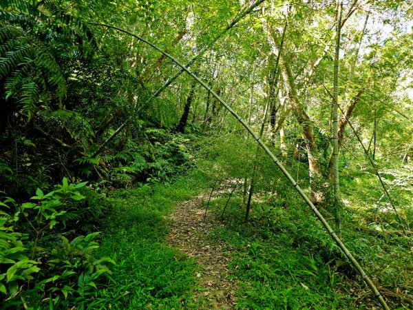 枋山坑古道(淡蘭中路)-新北市坪林區2882695