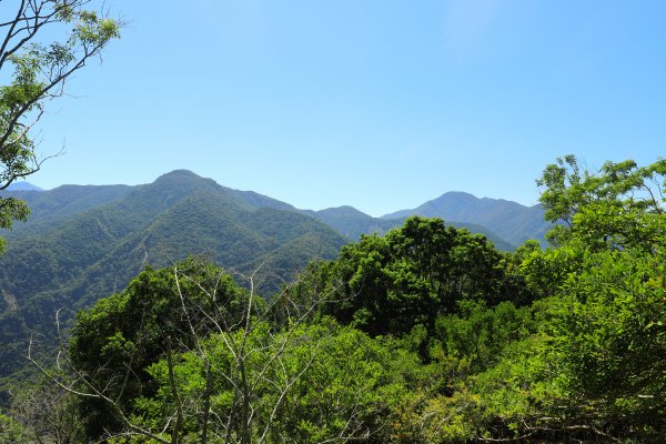 阿里山三霞 -- 楠梓仙溪左岸 南霞山1490241