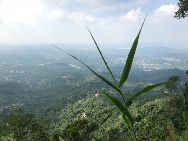 烏山步道1124662