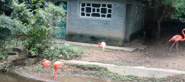 杭州動物園3089152