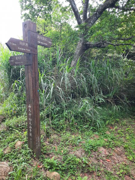 20230709 中正山縱走面天向天山，冰泰酥朵頤2211930