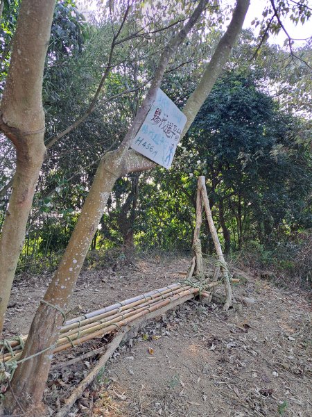 竹山八通關古道社寮段+陳東坑山+溪洲大山ｄ型走202302192037478
