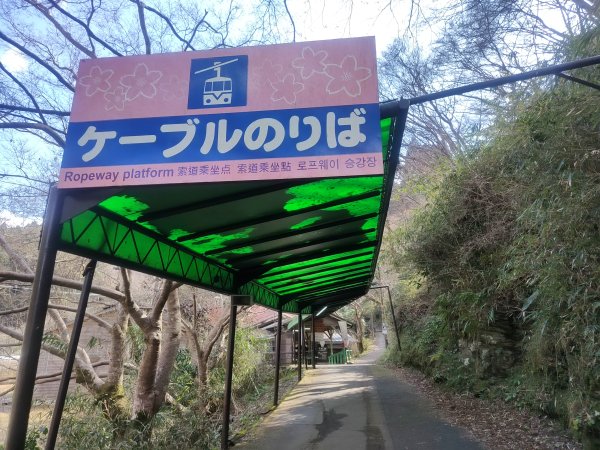 吉野山2454086