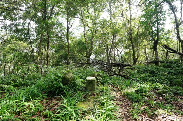 新北 烏來 下阿玉山2821616