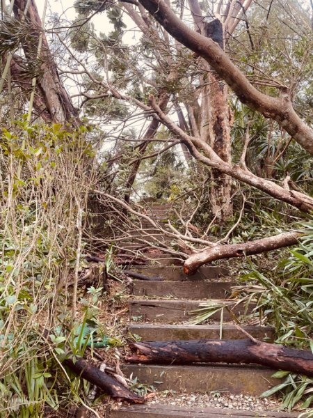 災後紅河谷越嶺小獅山仙跡岩觀音山路況2641466