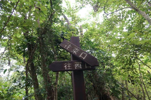 烏山嶺水利古道2799212