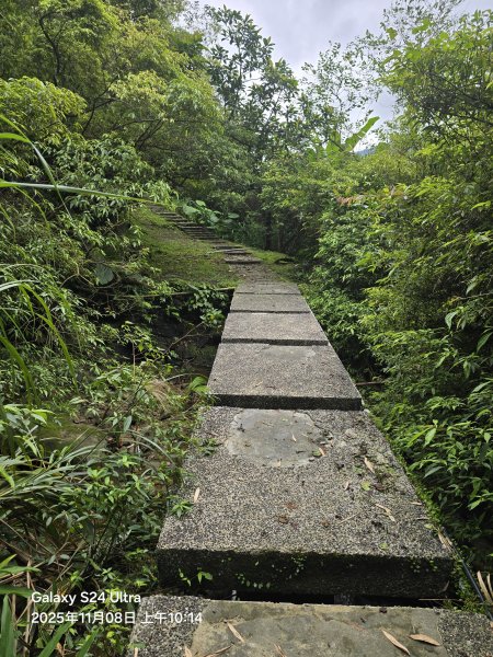 2025-11-08微笑山線：【五分山系】菁桐煤礦段2932720