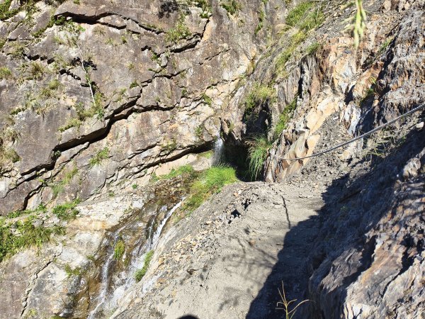 [玉山尋寶任務-07/12] 2025_0824 八通關雲龍瀑布步道2870655