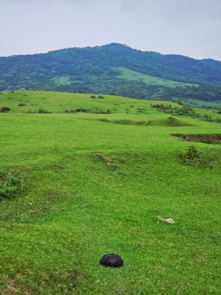 2026年臺北大縱走第三段：小油坑至風櫃口3037898