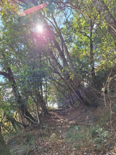 雪見駐在所+雪見山202512252971673