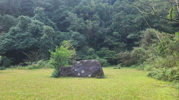 2026-0204 中坑古道_下坑古道O型3005564