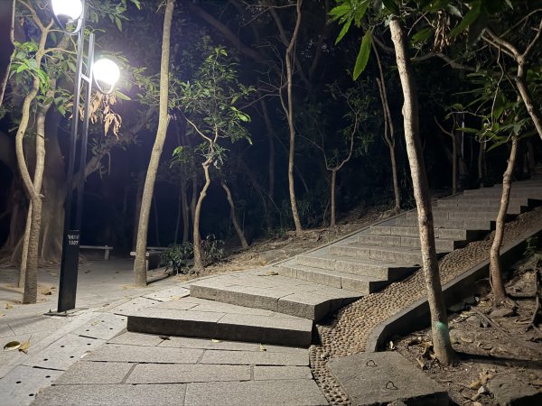 [茂名馬之行-13] 2026_0119 深圳夜景2997039