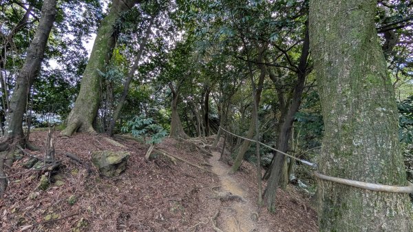 114.11.22鳶山彩碧-鳶山-鳶尾山之旅2943533