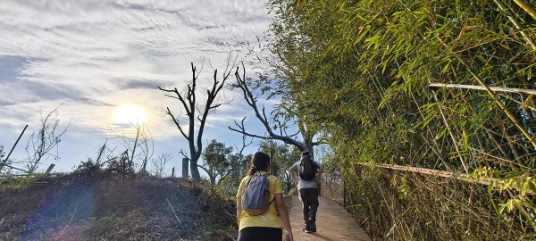 2026/02/15-后里觀音山+鳳凰山