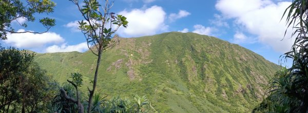 瑞芳區驚險驚嚇+短暫迷途的半屏大瀑布(瀑布稜)+小錐麓古道2886054