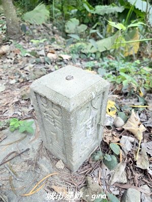 【台中太平】小百岳三汀山3027087