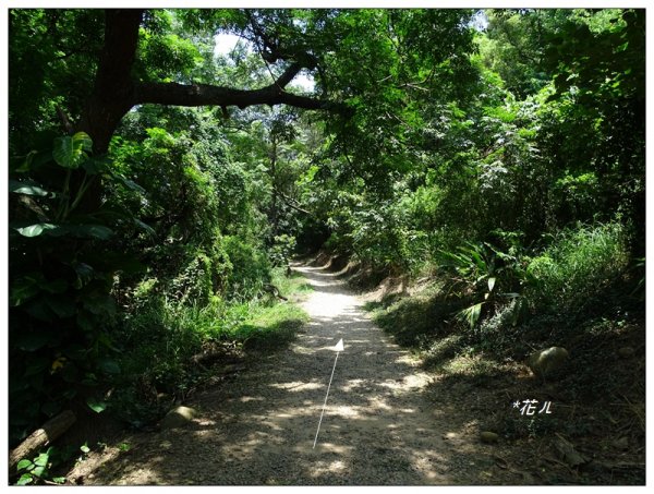 大甲/鐵砧山(小百岳)631021