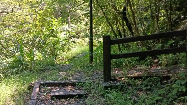 瑞芳區長興宮-粗坑口步道-觀音堂步道-碇內尖-長興宮O型3079020