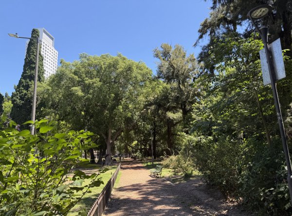 [紐約馬之行-59] 2025_1114 卡洛斯·泰斯植物園-上2953911