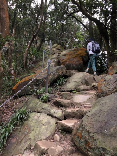 南勢角山（烘爐地—青春步道）550213