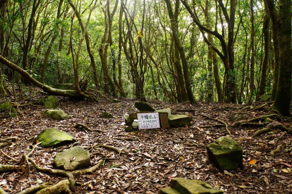新竹 尖石 大混山、牛欄坑山、李崠山3058561