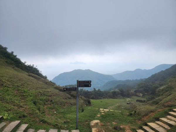 小百岳No.82⛰灣坑頭山3003058