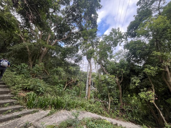 [微笑山線_第五段] 2025_0705 天上山系_國旗嶺2830065