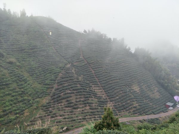 大崙頭山&民眾坪山1337605