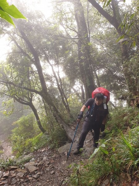 暑假爬山 之 揪弟弟一起挑戰北大武！1049081